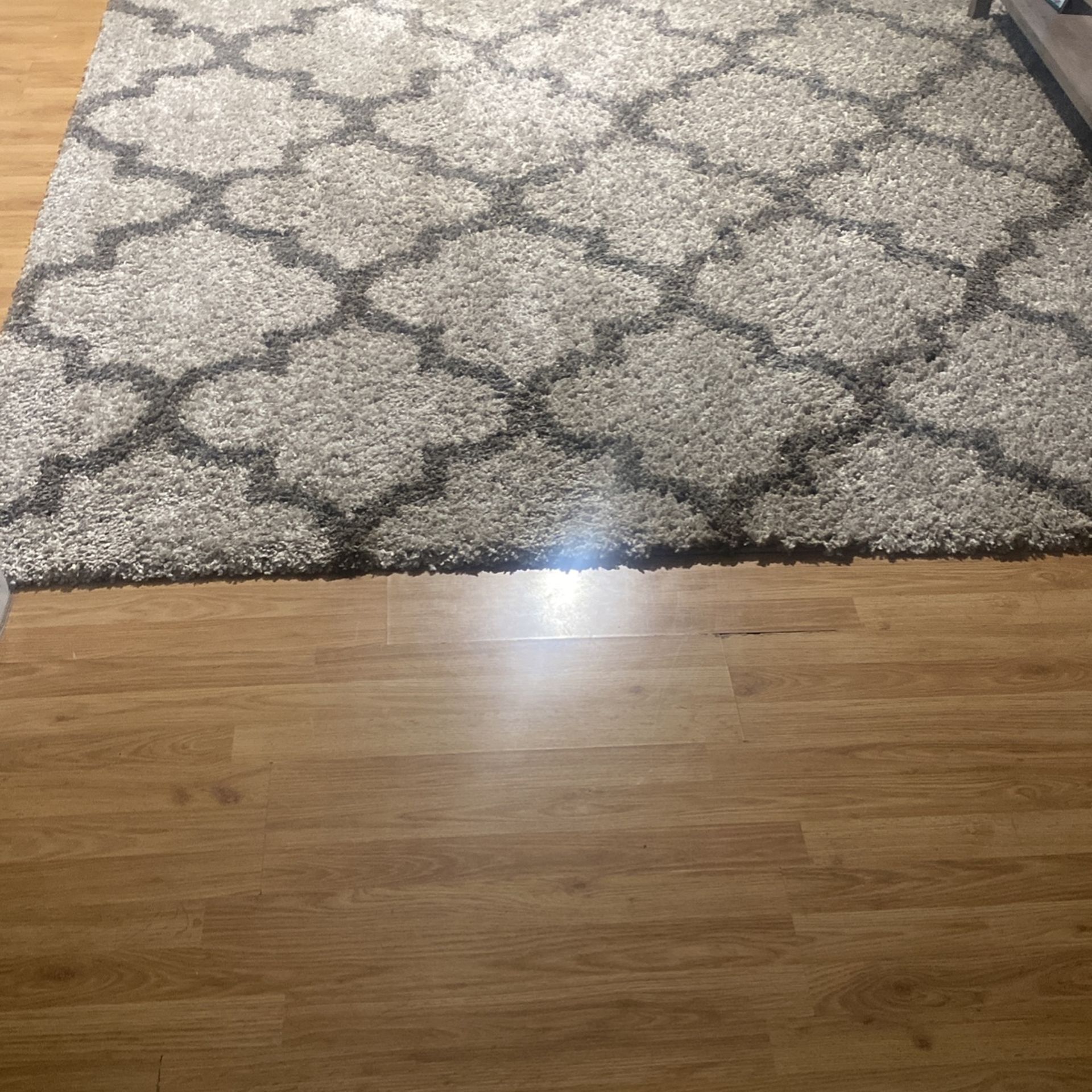 9x11 Shut Area Rug