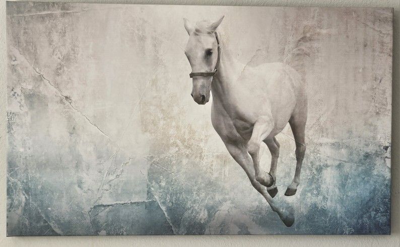 STUNNING HORSE PICTURE FOR WALL / 40" Wide by 23" Tall - Great Size. Stunning! 