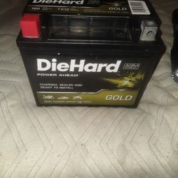 12v DIE HARD ATV BATTERY