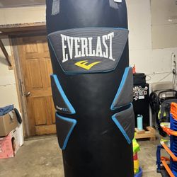 Everlast Punching Bag