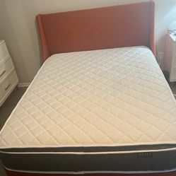 Queen Sized Bed Frame and Mattress