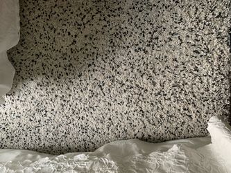 Shaggy Area Rug White and Black Speckled