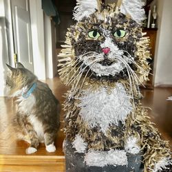 Handmade-to-order Custom Pet Piñatas