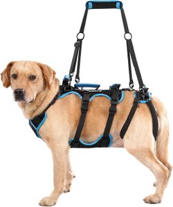 LAFOTY Large Dog Lift Harness Model 380 – Complete Set