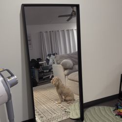 Floor Length Mirror