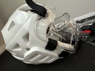 Face Mask Taekwondo Or Karate 