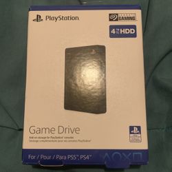 Play Station 5 Game Drive