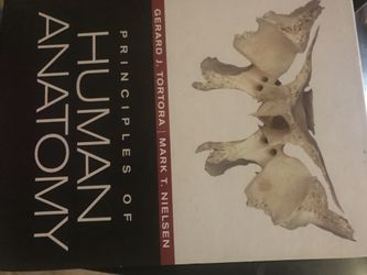 Chiropractor book