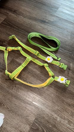 Martha Stewart Dog Harness, Collar & Leash Set – Green Floral Daisy – 3 Piece