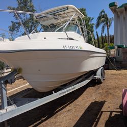 2001 Seamaster Cubby Kevin Walk Around