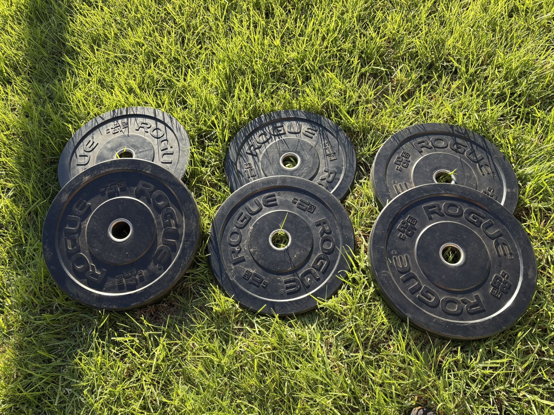 Rogue Weight Plates Set