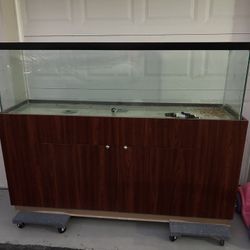 125 Gallon Fish Tank And Base