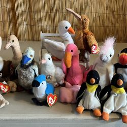 Price Reduced TY Original Beanie Babies Birds 