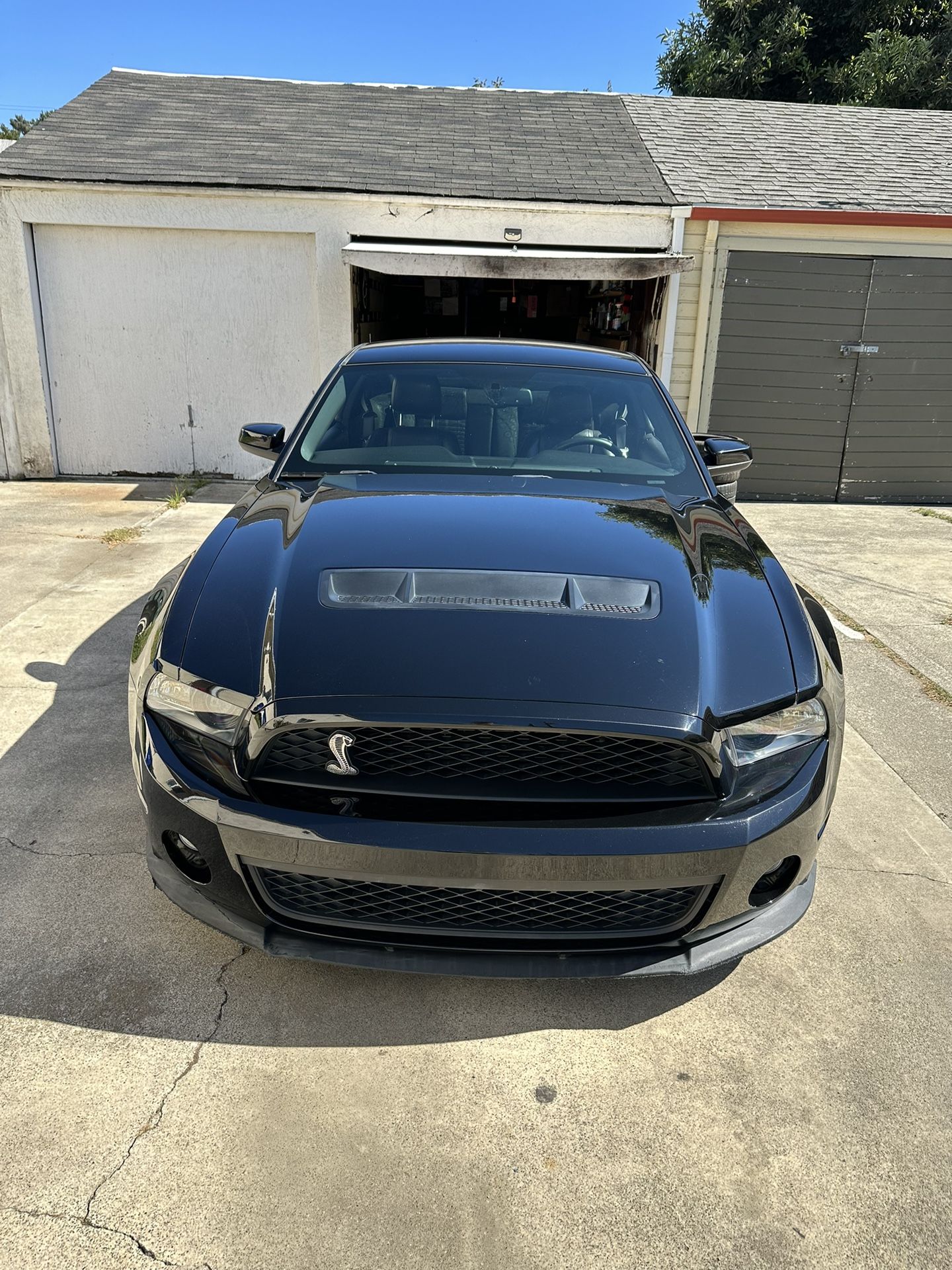 2010 Ford Shelby Gt500