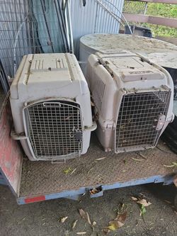 Dog kennel XL