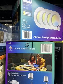 Philips 5/6 in. Recessed Downlight 4-Pack