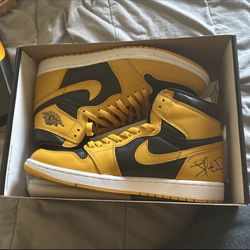 Jordan 1 Retro High Pollen Signed Lamar Odom