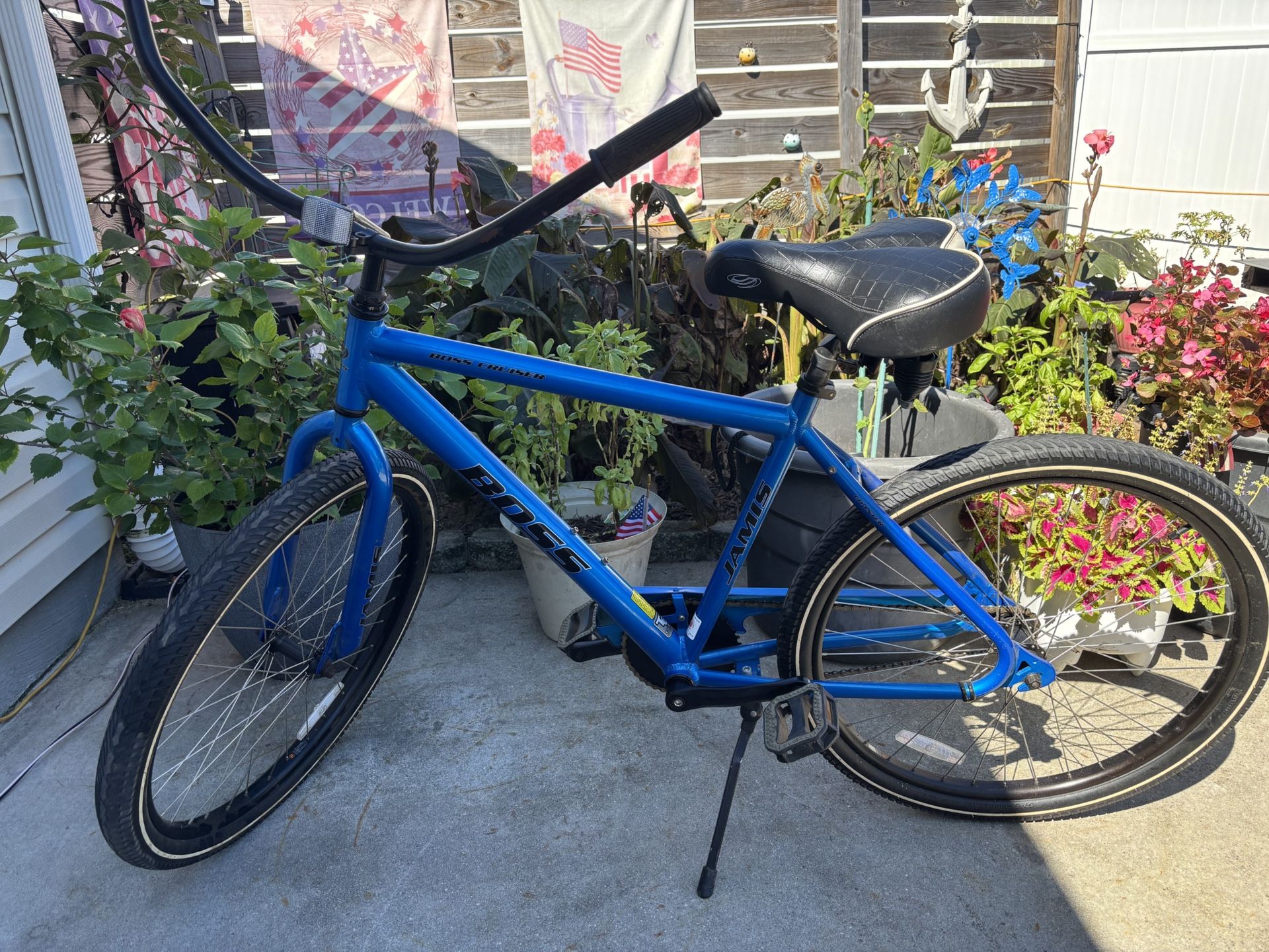 Jamie Boss Cruiser Coaster Bike