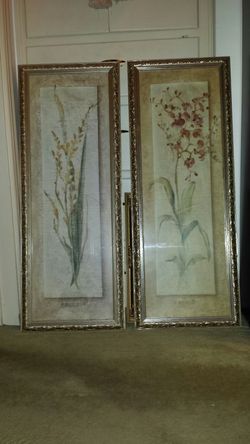 Set of 2 Large Framed pictures, 38"x15" each