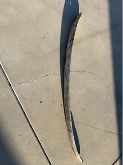 1941 chevy rear bumper