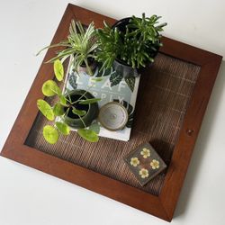 Coffee Table Display Tray