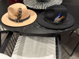 Two Fedora Hats