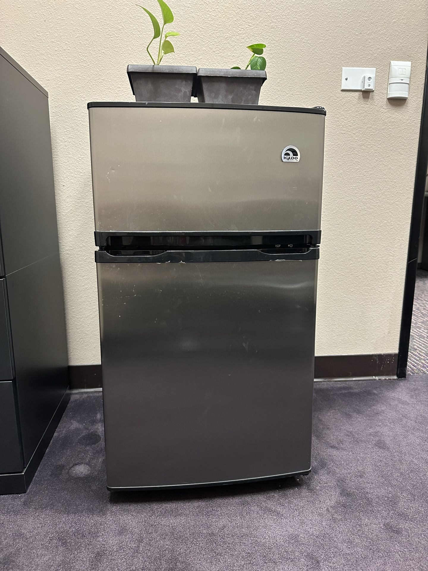 Igloo Mini Fridge