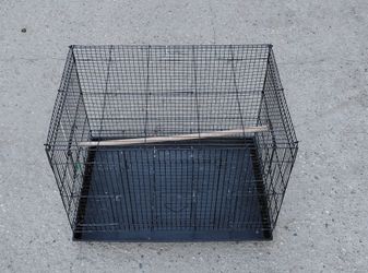Cage.  Jaula