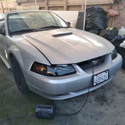 1999 Mustang
