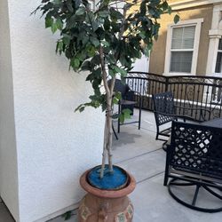 Ceramic Pot And Tree 