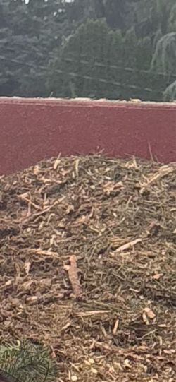 Free Wood Chips Delivered