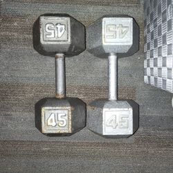 45lb Dumbbells 