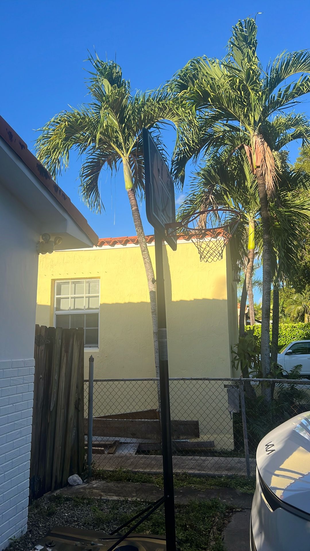 Free Basketball Hoop Just Pick It Up!!!