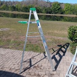 6ft Ladder