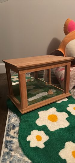 Wood Display Box With Working Light 