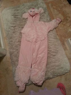 Poodle dress up