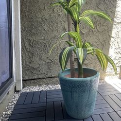 Large Textured Ceramic Planter (Teal Blue)