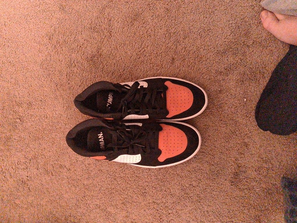 Nike Air Jordan Shattered Backboard Size 12