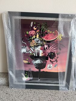 Sean Norvet Framed Print Signed Numbered
