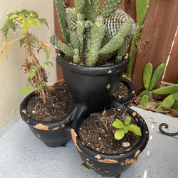 4 Pot Planter