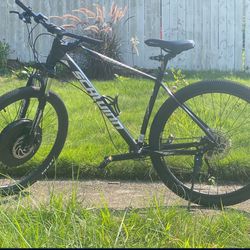 Custom Electric Bike (Schwinn + IMORTOR 3.0)