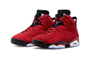 Jordan 6 Toro