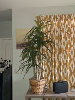 Artificial plant