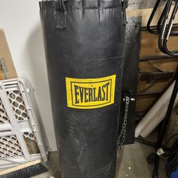 Everlast Heavy Bag W/ Mount
