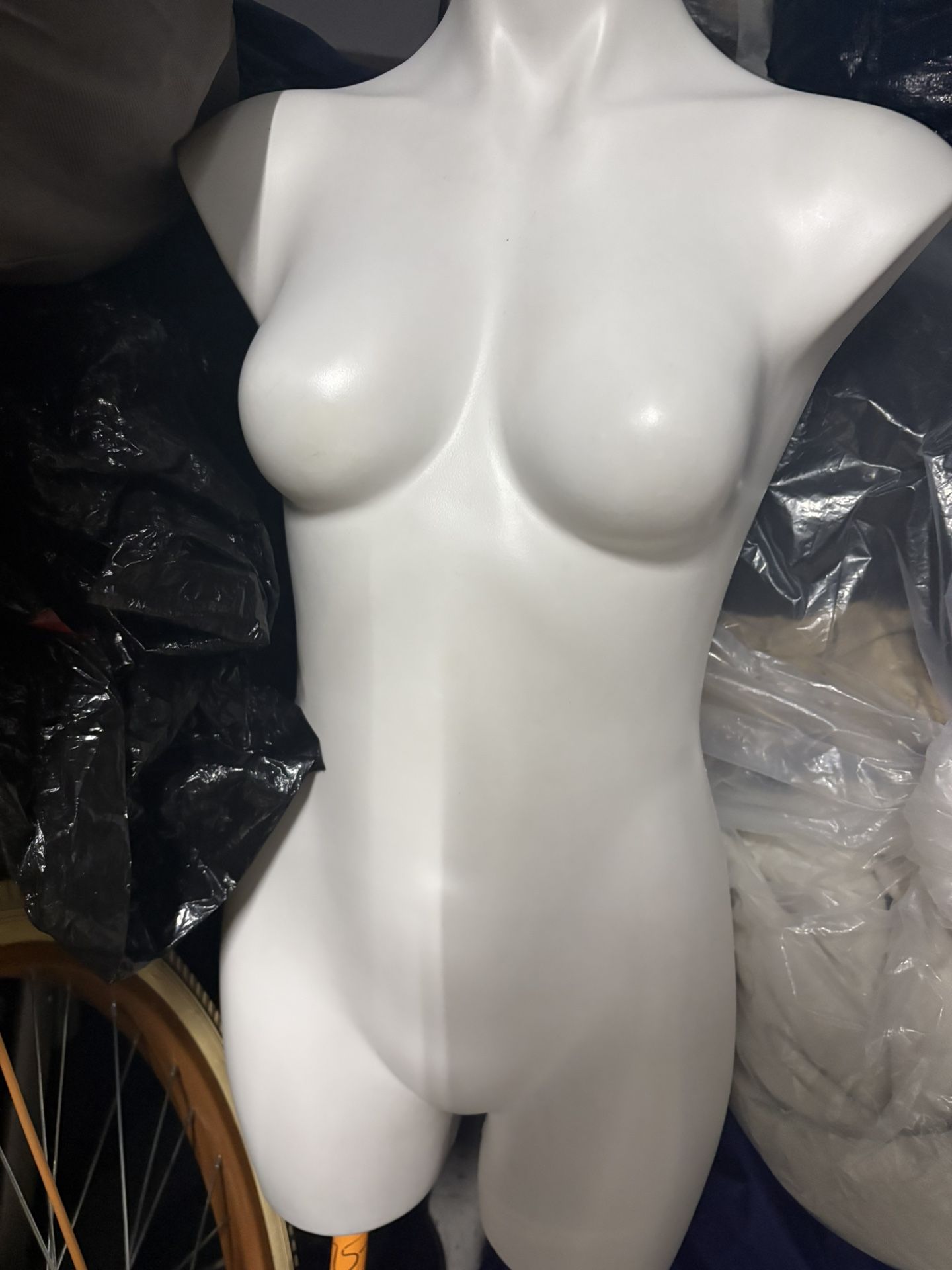 Dress Form