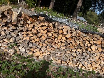 Seasoned firewood