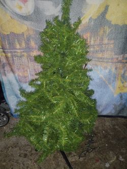 Christmas Tree & Victoran Lamp 