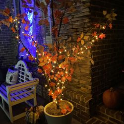 Adorable Fall Lot Tree Stacked Pumkins And Wreath