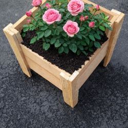 Time To Grow Your Own Food CEDAR Garden Bed 14" L x 14"W x 12" Deep