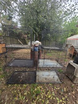 Cages diferents sizes and prices